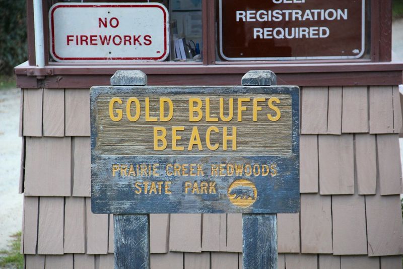 Gold Bluffs Beach, California