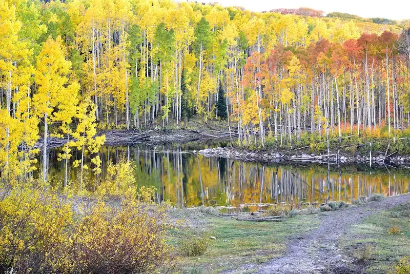 Fishlake National Forest