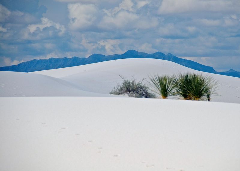 White Sands National Park – Alamogordo