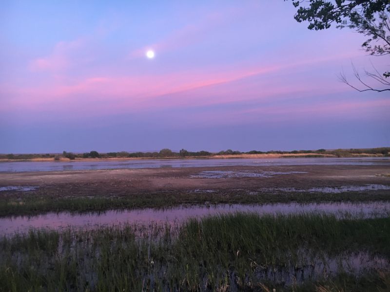 Bosque del Apache National Wildlife Refuge