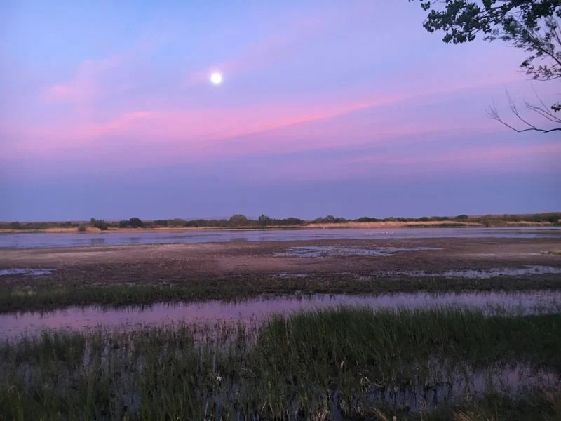 Bosque del Apache National Wildlife Refuge