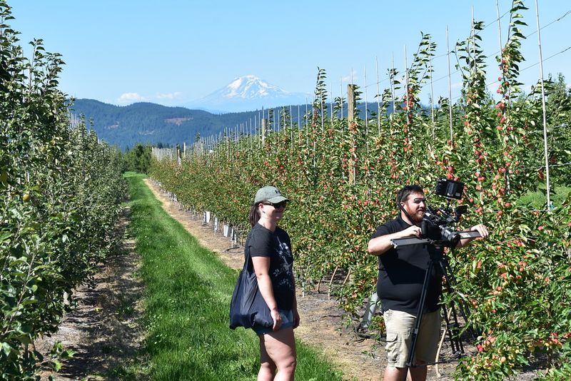 Kiyokawa Family Orchards