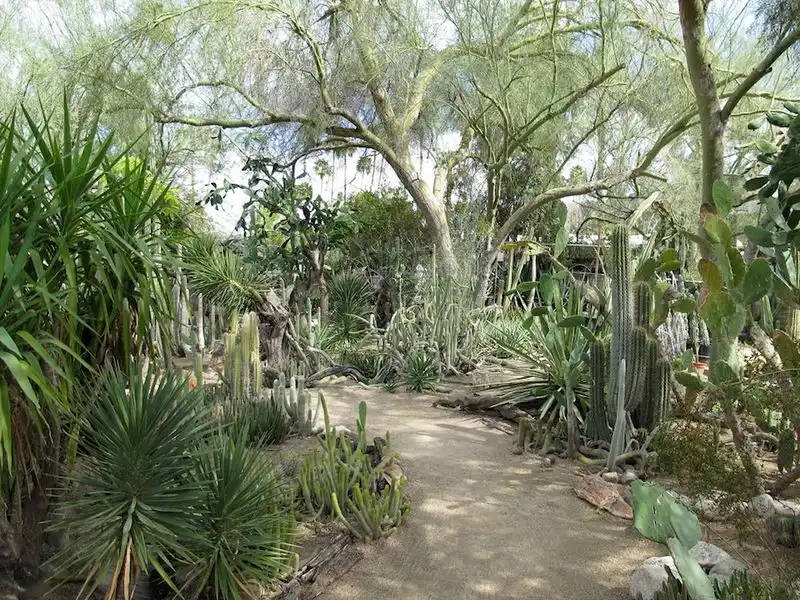 Visit Moorten Botanical Garden