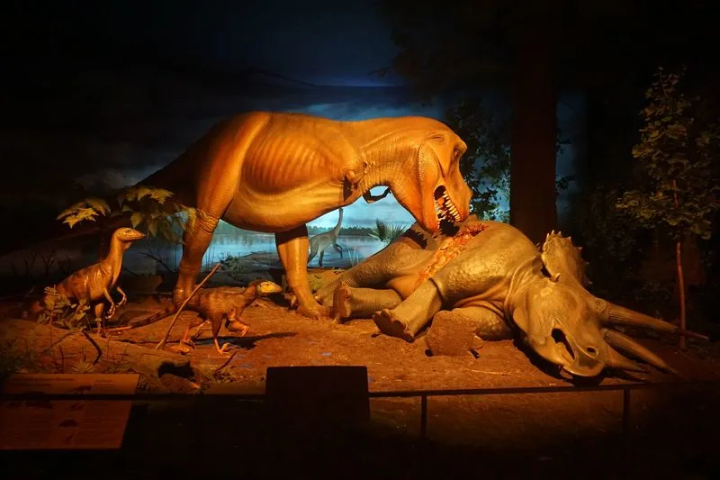 Milwaukee Public Museum