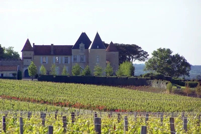 Château d’Yquem, Sauternes