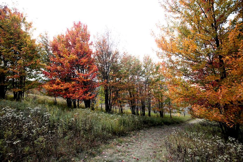 Canaan Valley Resort State Park