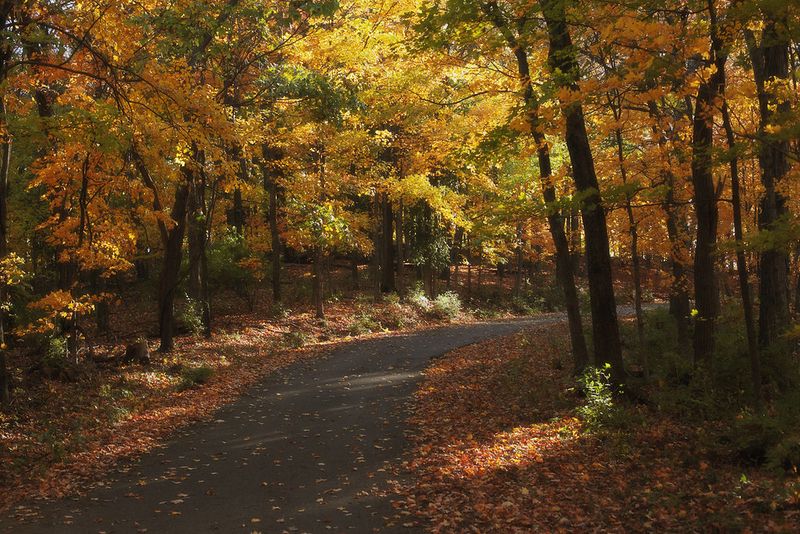 Percy Warner Park