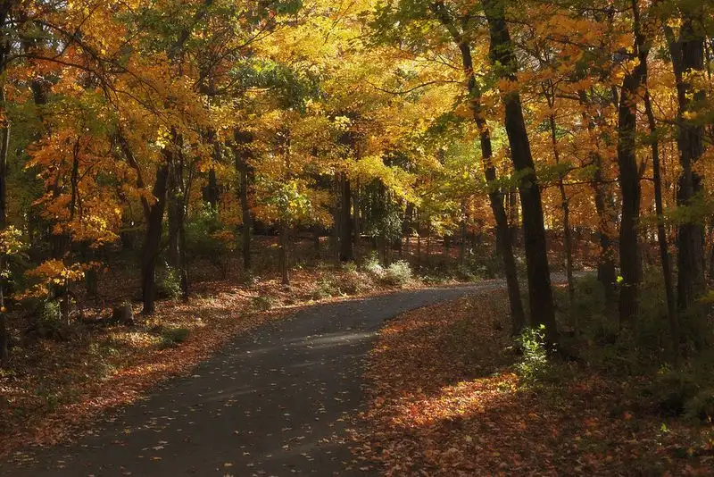 Percy Warner Park