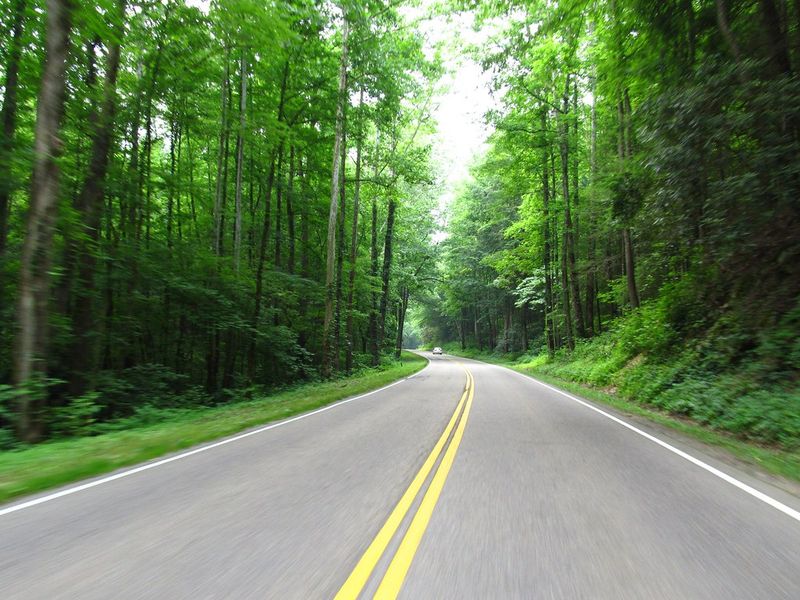 Newfound Gap Road (U.S. 441)