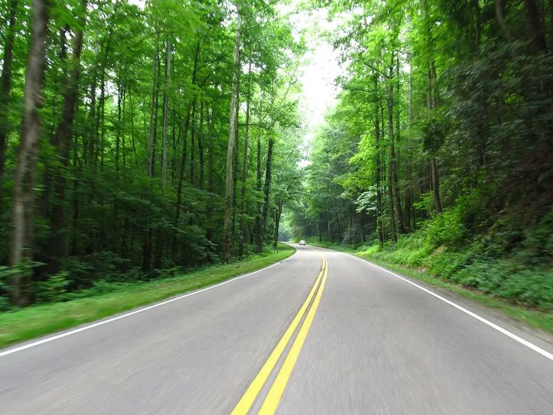 Newfound Gap Road (U.S. 441)