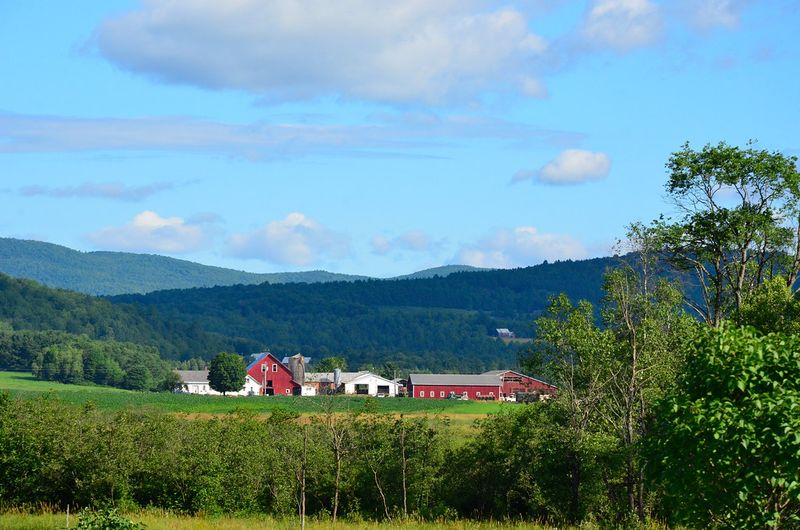 Craftsbury