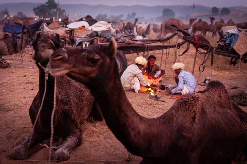 Khimsar, Rajasthan