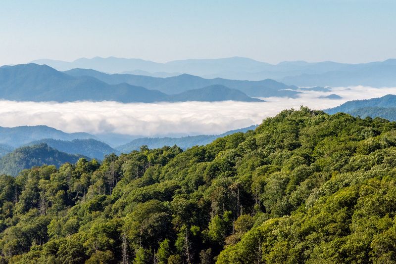 Great Smoky Mountains National Park – Tennessee/North Carolina