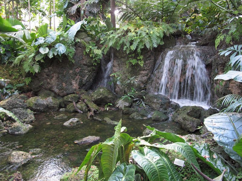 Fairchild Tropical Botanic Garden, Florida