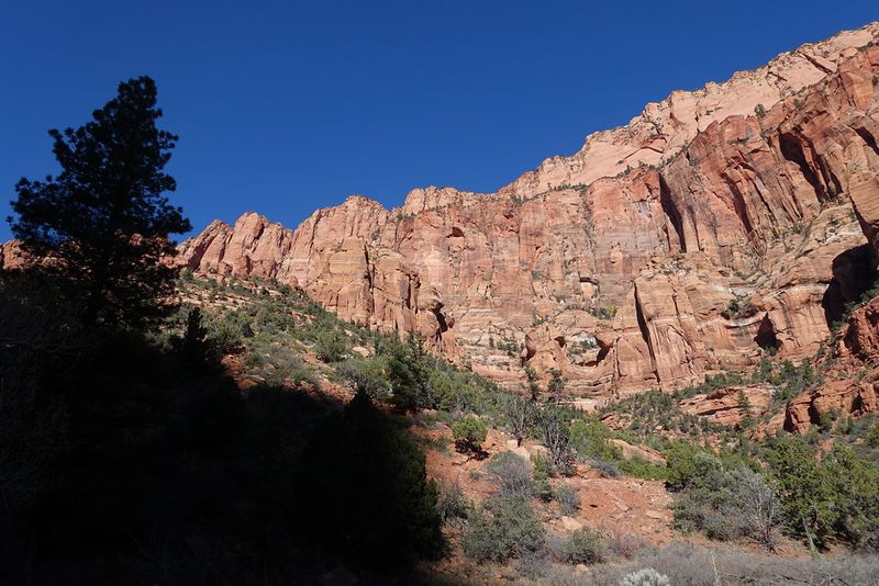 La Verkin Creek Trail