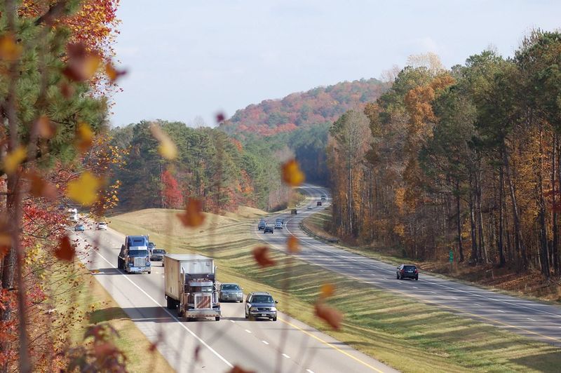 Talladega National Forest