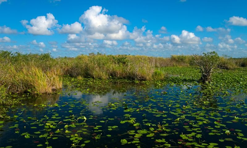 Everglades National Park – South Florida