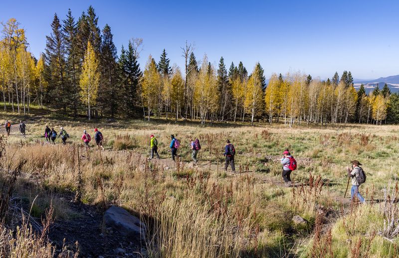 Aspen Nature Loop