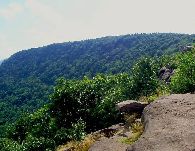 The Catskills