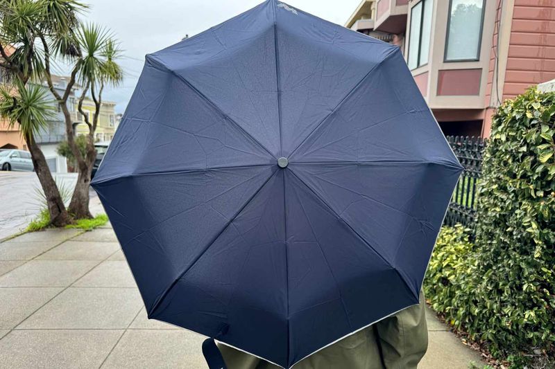 Travel Umbrella