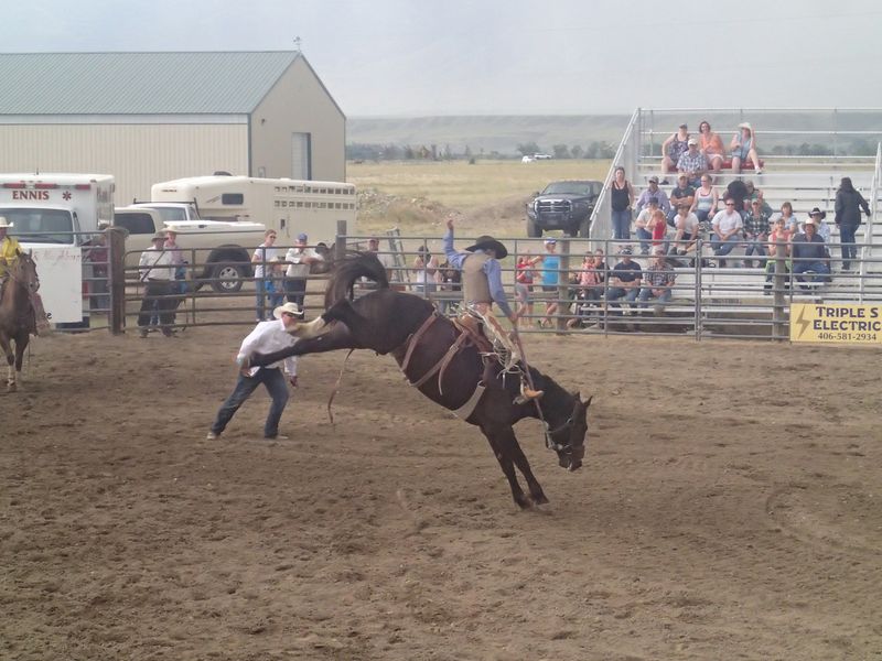 Seasonal Rodeo Events