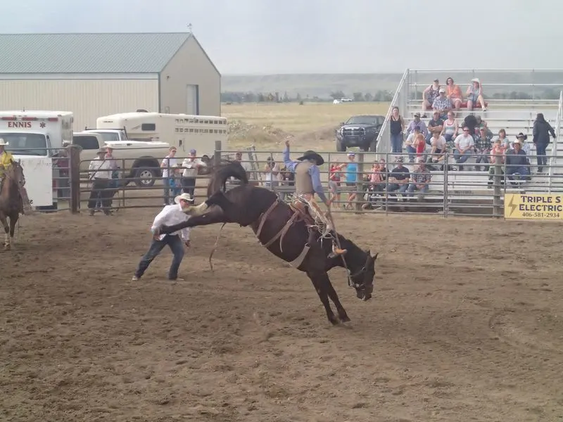 Seasonal Rodeo Events