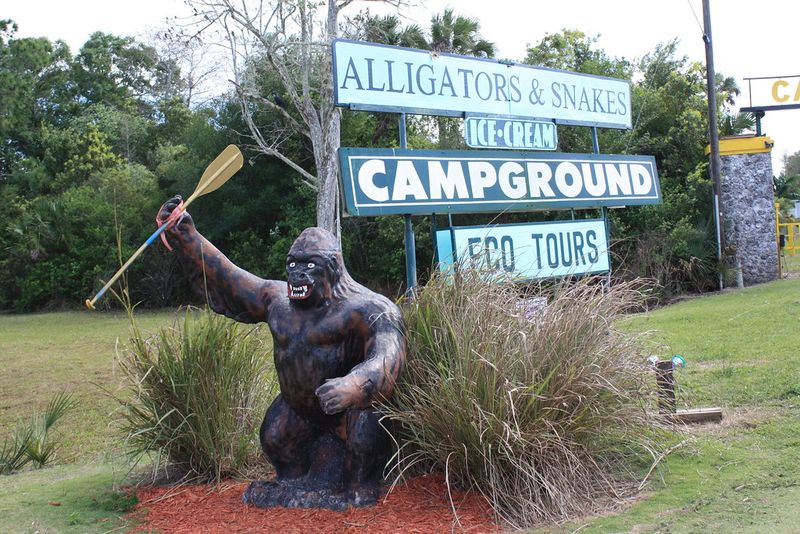 Skunk Ape Research Headquarters – Florida’s Bigfoot