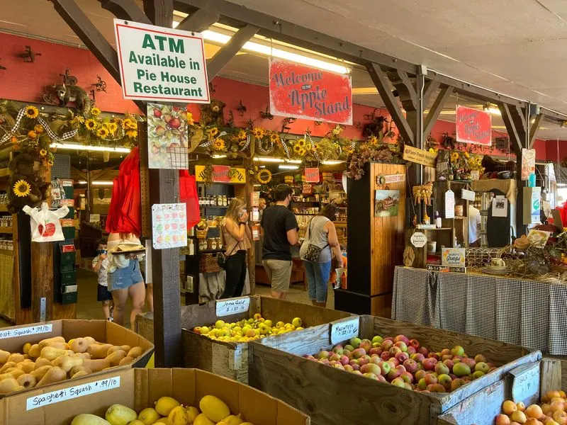 Apple cider pressing at High Hill Farm, Missouri