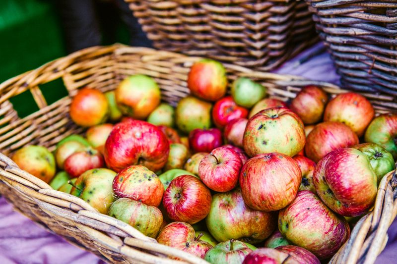 AppleJack Festival – Nebraska City, Nebraska