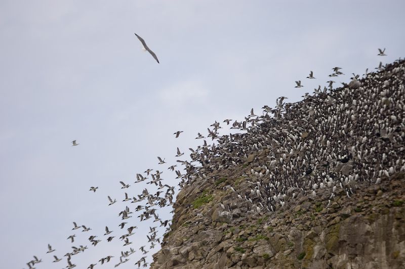 Prime Wildlife Viewing
