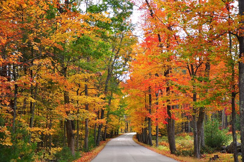 Crisp Coastal Hikes and Fall Foliage