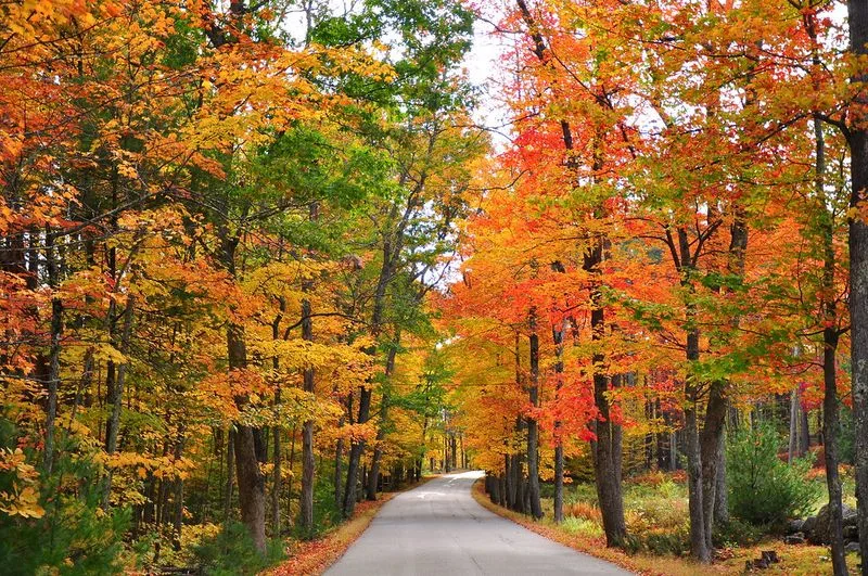 Crisp Coastal Hikes and Fall Foliage
