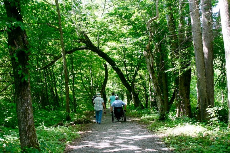 Oconaluftee River Trail — Great Smoky Mountains (Cherokee / Oconaluftee Valley)