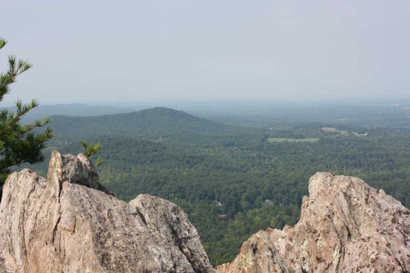 The Pinnacle