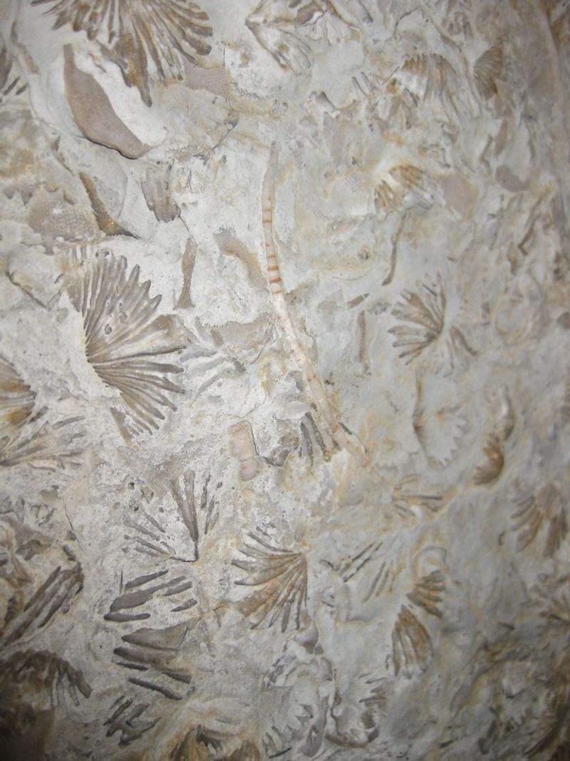 Goochland Cave