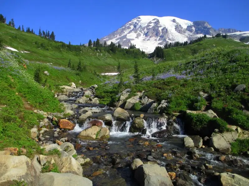Mount Rainier National Park, Washington
