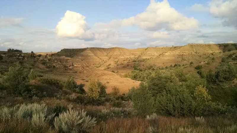 Little Missouri National Grassland