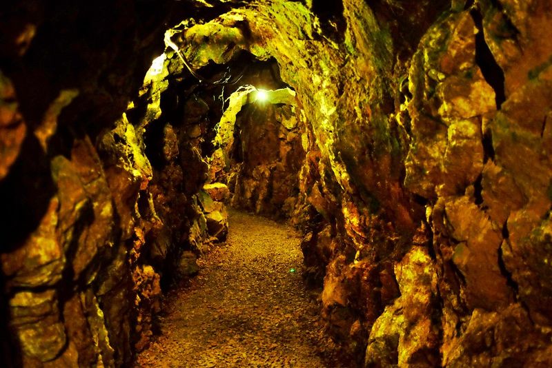 Reed Gold Mine