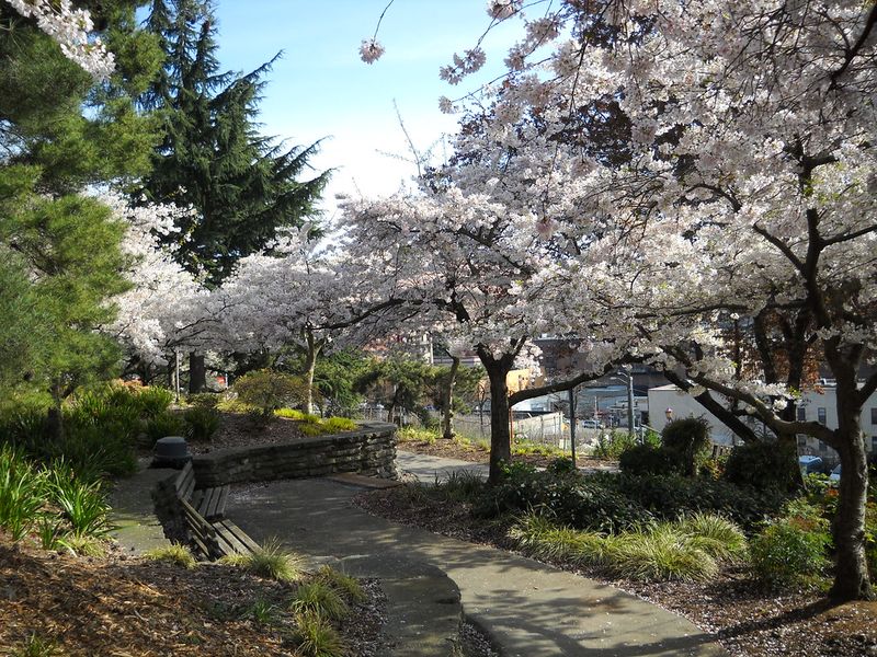 Kobe Terrace Park