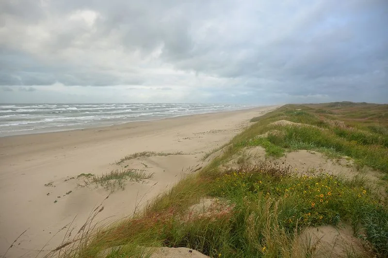Padre Island National Seashore Drive, Texas