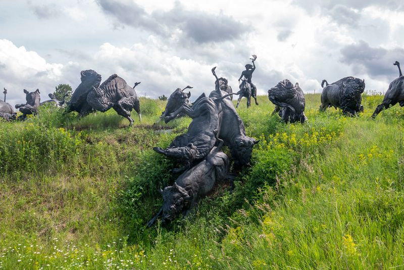 Tatanka: Story of the Bison