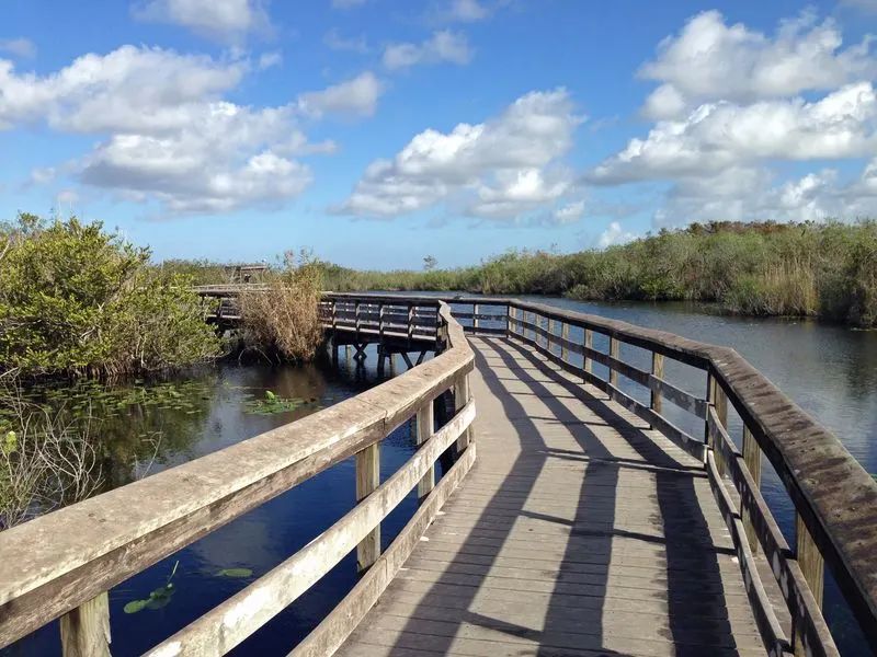 Florida - Everglades National Park Anhinga Trail