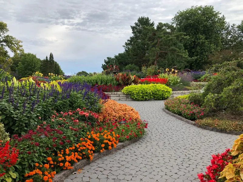 Minnesota Landscape Arboretum
