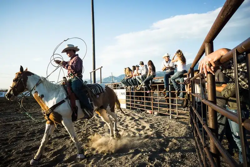 Bozeman Stampede
