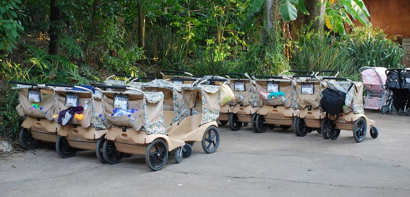 Stroller Rental or Bringing Your Own