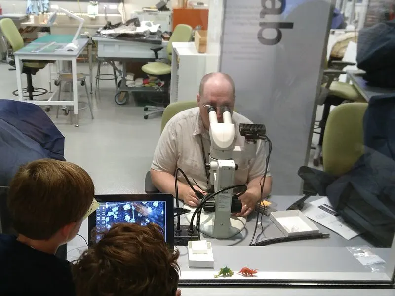 Fossil Lab