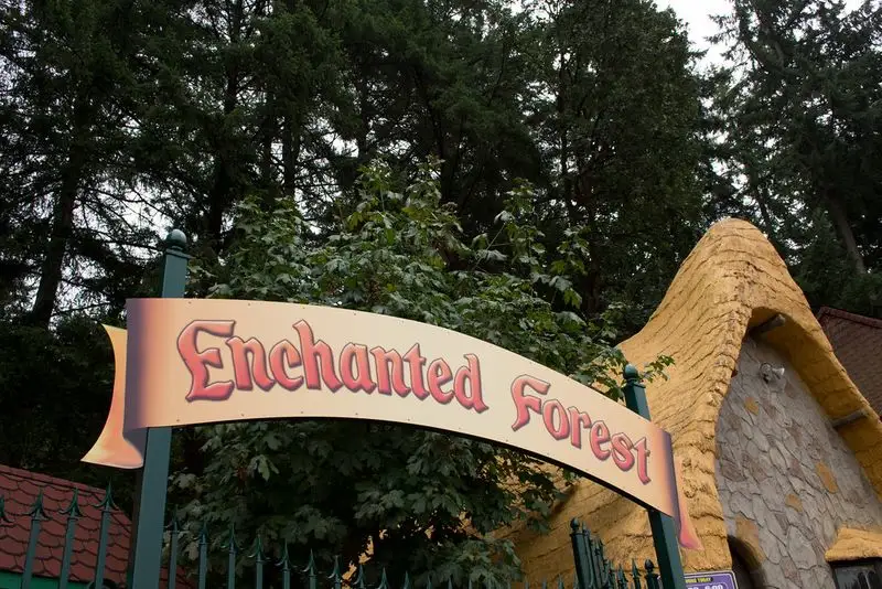 The Enchanted Forest