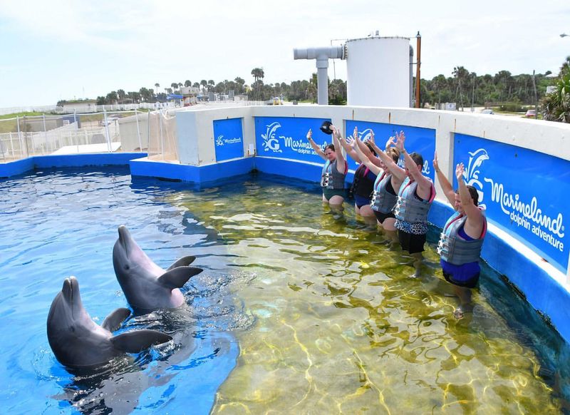 Marineland Dolphin Adventure — St. Augustine