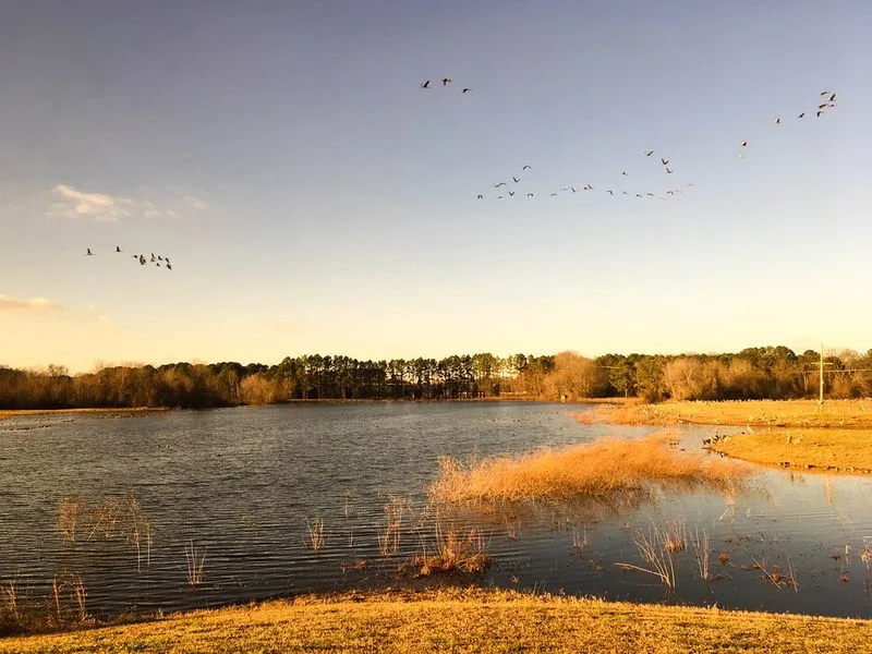 Wheeler National Wildlife Refuge