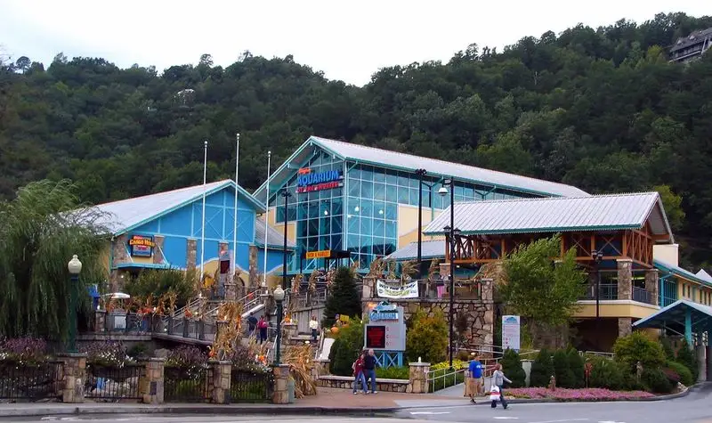 Ripley's Aquarium of the Smokies